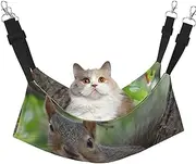 EdWal Squirrel in The Tree print Soft Sleeping Hammock Cat Hammock for Cage Hanging,Pet Hammock Bed Adjustable for Small Animals