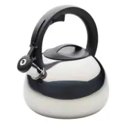 9.2-Cups Stainless Steel Induction Tea Kettle with Pour Spout