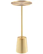 Pangea Home Gold Monty Side Table