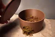 Removable Lid Hide for Geckos and Other Reptiles (Multiple Colors Available)