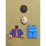 LEGO 樂高 人偶 馬蒂·麥佛萊 IDEAS 回到未來 21103 71201