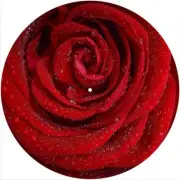 Slipmat Slip Mat Felt 12" Turntable LP DJ Vinyl Record Player FLOWER ROSE WET