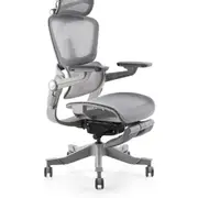 Shappa Smile Ergonomic Office Chair Grey