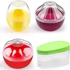 Fruit and Vegetable Storage Containers for Fridge 4 Piece Set, Onion, Lemon, ...