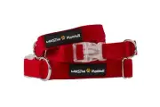 Medium Racy Red Dog Collar