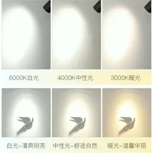 軌道燈 投射燈 led 軌道燈 led 吊燈 走道燈 軌道吊燈 走道燈 led燈具 走廊燈 導軌式 加長杆射燈