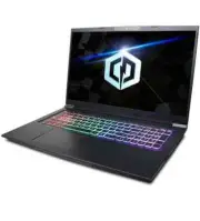 CYBERPOWERPC Tracer IV Xtreme 17.3" Gaming Notebook, Intel i7-10750H 2.6GHz