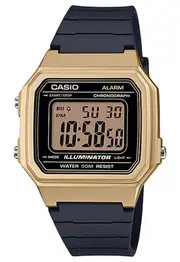 Casio W-217HM-9AV Mens Watch
