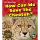 How Can We Save the Cheetah?: A Problem and Solution Text