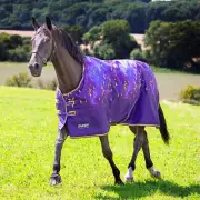 Shires Tempest Original Lite TO