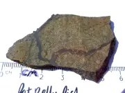 28.3 grams Northbranch Meteorite ordinary chondrite H5 slice - Kansas with a COA