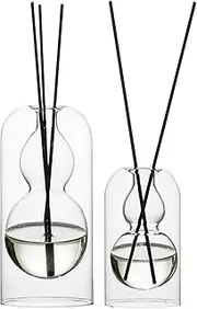 Empty Glass Fragrance Reed Diffuser Bottles,for Essential Oil, with 16pcs Black Reed Sticks,Minimalist Decor,2pcs/Set.