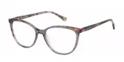 Radley RDO 6036 108 Men's Glasses Clear Size 54 - Private Health Rebate - Blue Light Block Available
