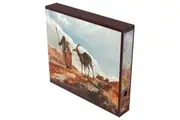 Ultimate Guard: Binder - Collectors Album n Case Artist Edition #2 - Mario Renaud: The Search