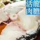 【南海豐】活肉龍膽石斑魚片11片