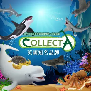 【collectA】海洋生物-藍鯨(888347)