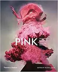 在飛比找誠品線上優惠-Pink: The History of a Punk, P