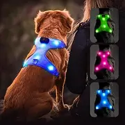 Flashseen LED Dog Harness, Lighted Up USB Rechargeable Pet Harness, Illuminated Reflective Glowing Dog Vest Adjustable Soft Padded No-Pull Suit for Small, Medium, Large Dogs (Blue, S)