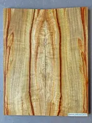 Figured Camphor Laurel Electric Guitar Cap #10