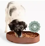 Reggie Stimulating Feeder Mat for Dogs Snuffle Mat Relieve Speed Eating Brown