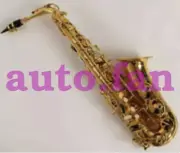 1pcs for the new SAS-R54 E-flat Alto Saxophone