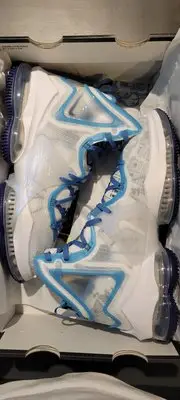 在飛比找Yahoo!奇摩拍賣優惠-Nike Lebron XIX LMTD 19代 James