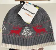 Chip Kami’s Beanie SmartWool NWT