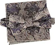 [VALICLUD] 1 Set Pre Tied Bow Tie and Pocket Square for Men Elegant Accessories for Weddings Parties and Formal Events Versatile Design Gentlemen Decorative Handkerchiefs