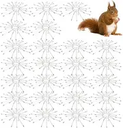 Stainless Steel Thorns Spikes,Climbing Thorns | Adjustable 304 Stainless Steel Cover Devices Accessories 25X for Electric Pole Squirrels Cats Trees