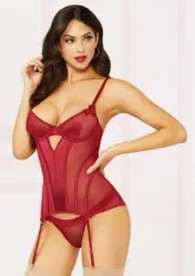 Plus Size Bustier Red Satin Applique Detail Lingerie Womens 3X 4X