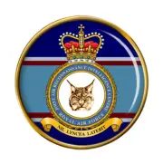 Joint Air Reconnaissance Intelligence Centre, RAF Pin Badge