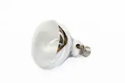 REPTILE UVB HEAT BULB SUNLIGHT E27 70W 80W 100W 125W 160W Sunlight UVA Heat