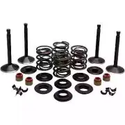 Kibblewhite Complete Black Diamond Engine Valve Kit Harley UL V Twin 48