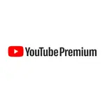 YOUTUBE PREMIUM 會員 家庭方案 1年400 永久售後