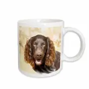 3dRose Boykin Spaniel Mug