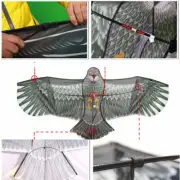 1.5m/1.8m Huge Eagles Kites Children Outdoor Game Sport Funny Animal Windsock AU