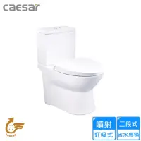 在飛比找momo購物網優惠-【CAESAR 凱撒衛浴】二段式省水馬桶/管距40(CF14