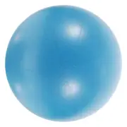 Gym Ball Small Exercise Ball For Between Knees Home Workout Ball