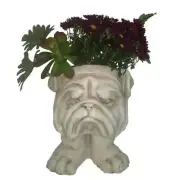 HOMESTYLES Statue 12"x9"x9" Antique White Bulldog Muggly Planter Free Standing