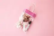 PRESERVED DRIED FLOWERS Bible Story Series Mini SWEET PEACH AND ROSE