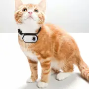 Pet Collar Camera, HD Pet Camera,Mini Camera for Video Records Dog for pet (White)