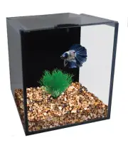 Aqua One Betta Condo Mono Aquarium Fish Tank with Heater and Filter