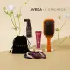 【AVEDA】AVEDA X L. ERICKSON 聯名禮盒(內含彈力髮圈/蘊活菁華滋養液/護色鎖色精華/隨行按摩梳)