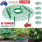 10/5X Strawberry Support Stand Frame Balcony Plant Holder Planting Rack Elevate