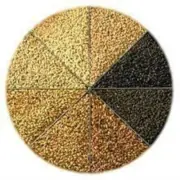 1 LB BRIESS PILSEN LIGHT DRY MALT EXTRACT DME Homebrew Home Brewing Beer making