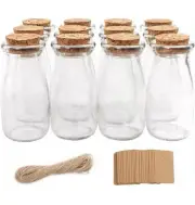12Pcs 3.4Oz Small Glass Favor Jars, 100Ml Small Glass Bottles with Cork Lids, Mi