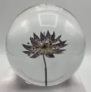 In Flore Blume Paperweight Purple Flower Astrantia Crystal Resin 8cm Gift Office