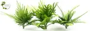 1/35 SCALE JUNGLE PLANTS MODEL SET (3 PLANTS/1 SET). TPV-102