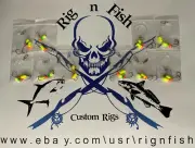 10 * Surf Fishing Rigs, Pier Rigs, Boat Rigs, Pompano, Whitings, Snappers, Spots