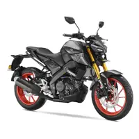 在飛比找momo購物網優惠-【YAMAHA 山葉】2023 MT15V2 ABS 貿易車